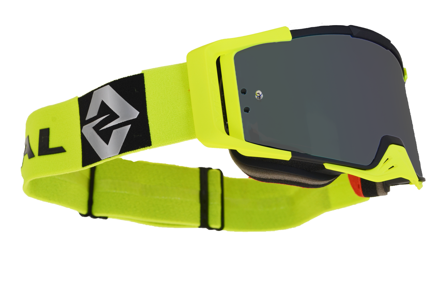 Signature Series NEON